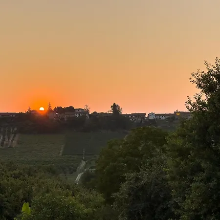 Roero Sunset * Govone